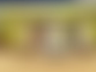 कोल्हान विश्वविद्यालय का छठा दीक्षांत समारोह संपन्न,129 टॉपरों को गोल्ड मेडल से राज्यपाल ने किया सम्मानित