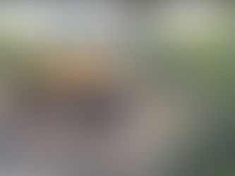 शिकारीपाड़ा में अवैध कोयला खदानों पर खनन विभाग का चला बुलडोजर