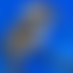 Paint a Happy Kookaburra