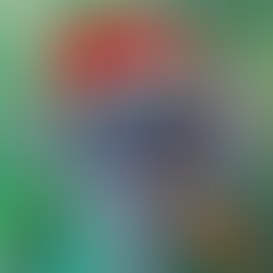 Christmas EMU painting