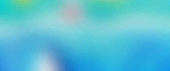 Paint a Whale Workshop