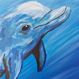 Paint a Cheeky Dolphin on a Canvas