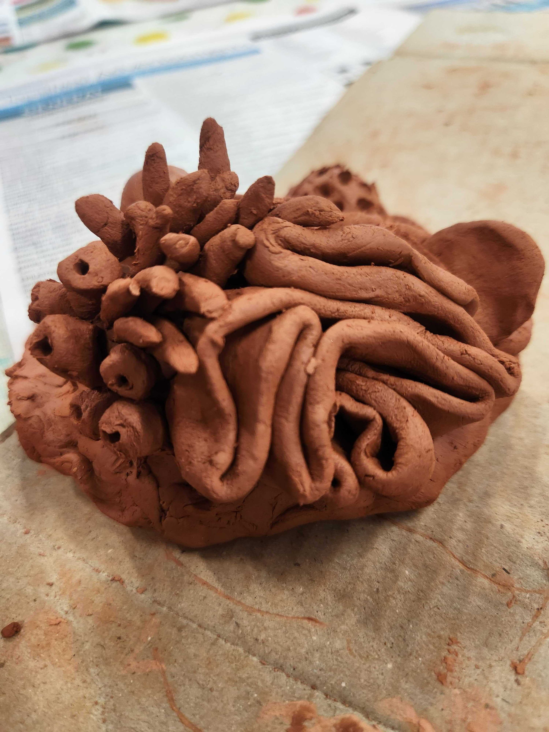 great barrier reef clay