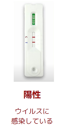 Medquick 新型コロナウイルス検査 陽性.png
