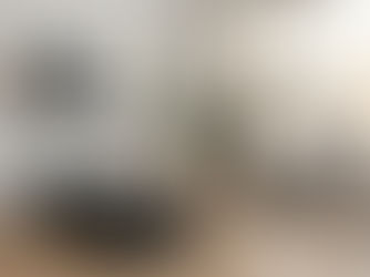 Treadmill Assembly Done Right: NordicTrack & Pet Exercise Equipment Setup