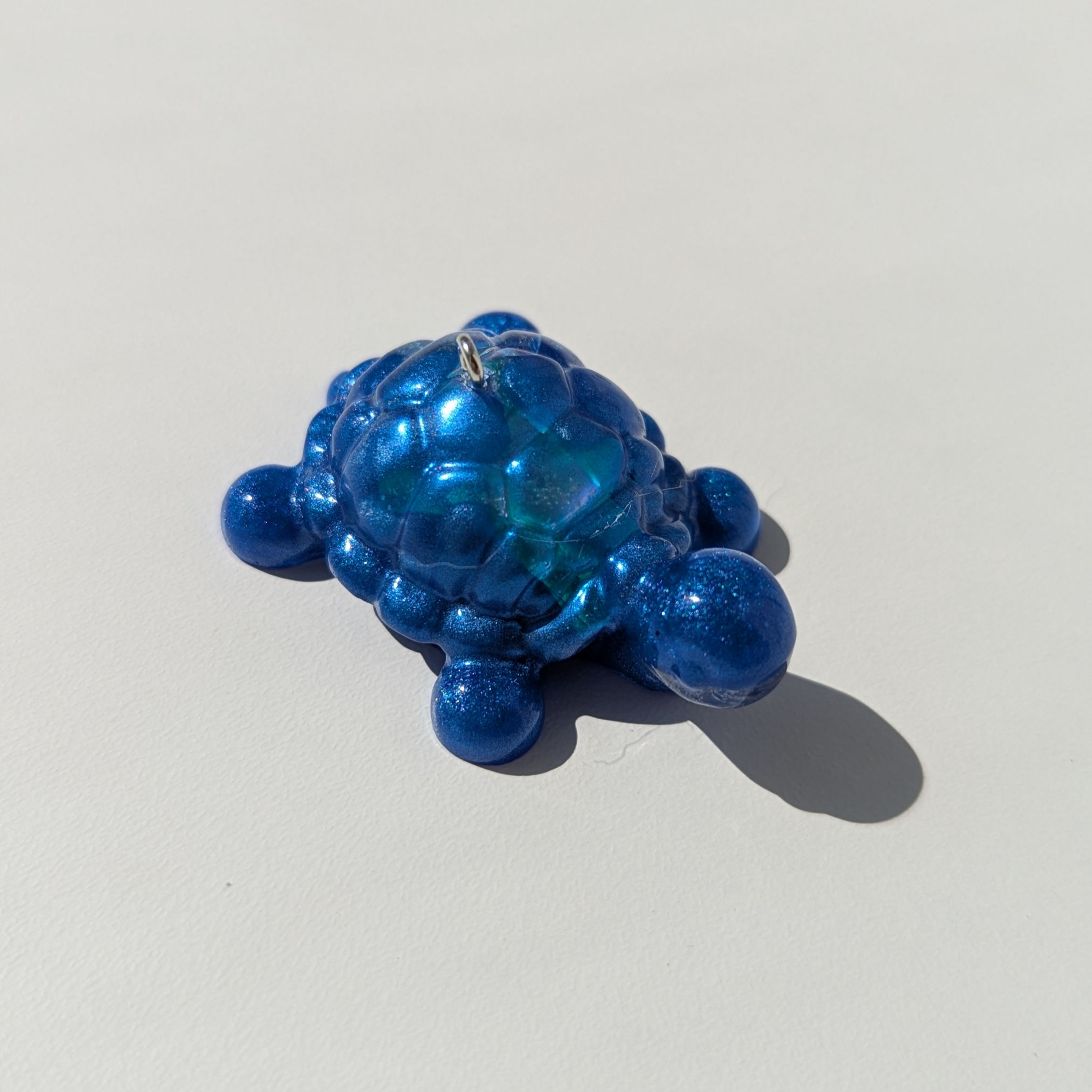 Turtle small leg