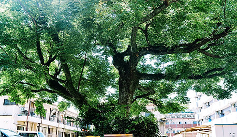 トップ写真案1-2