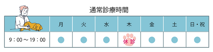 診療時間通常