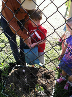 planting with porter