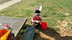 IMG_20170413_095159074_HDR