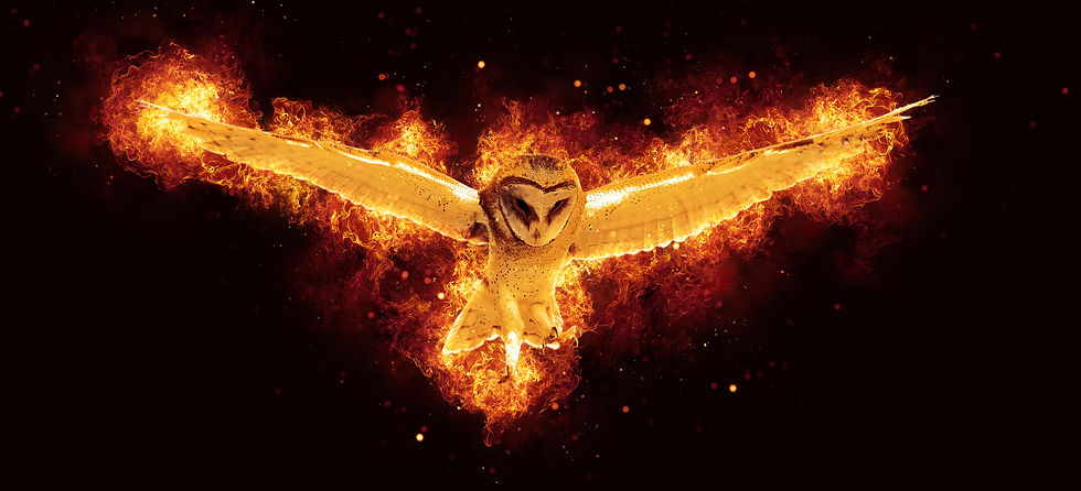 Photoshop Flammen: Eule (Part II)