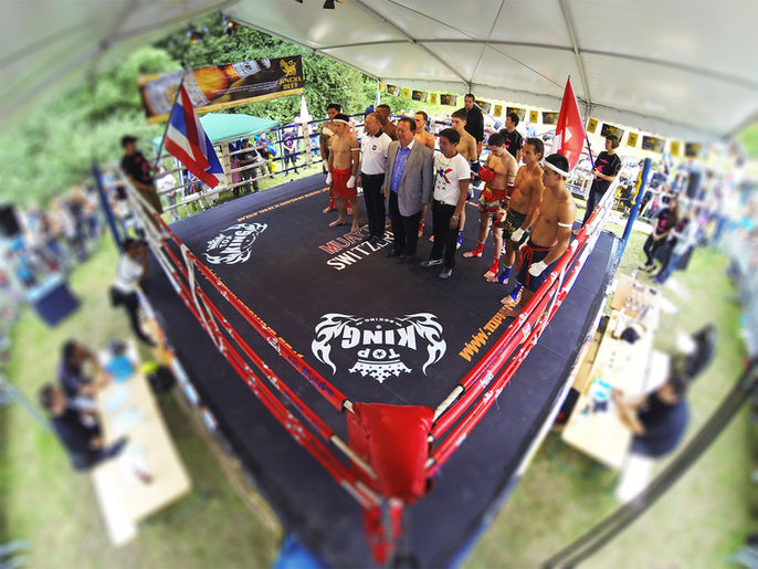17. Thai-Festival Bern 2014