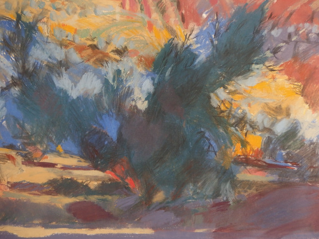 Olive Tree, Pastel, 55 x 78cm