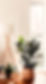 Corner%2520of%2520a%2520Stylish%2520Living%2520Room_edited_edited.jpg
