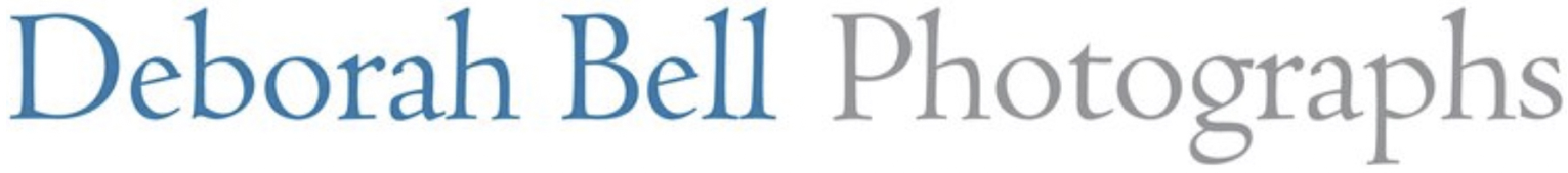 logo.jpg