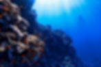 Islands of NEOM – NEOM Saudi Arabia_edited.jpg