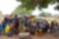 2016_11_26 Les abeilles de YALGA_IGP9606