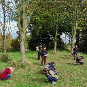 Schöpfungsgang 2021 qudratisch IMG_5186.jpg