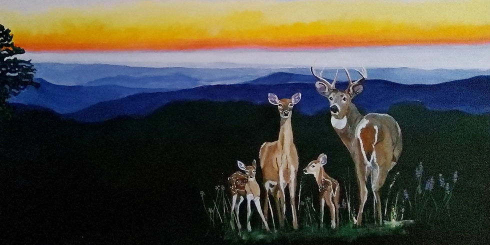 dEER fAMILY_edited_edited.jpg