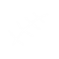 scars-01.webp