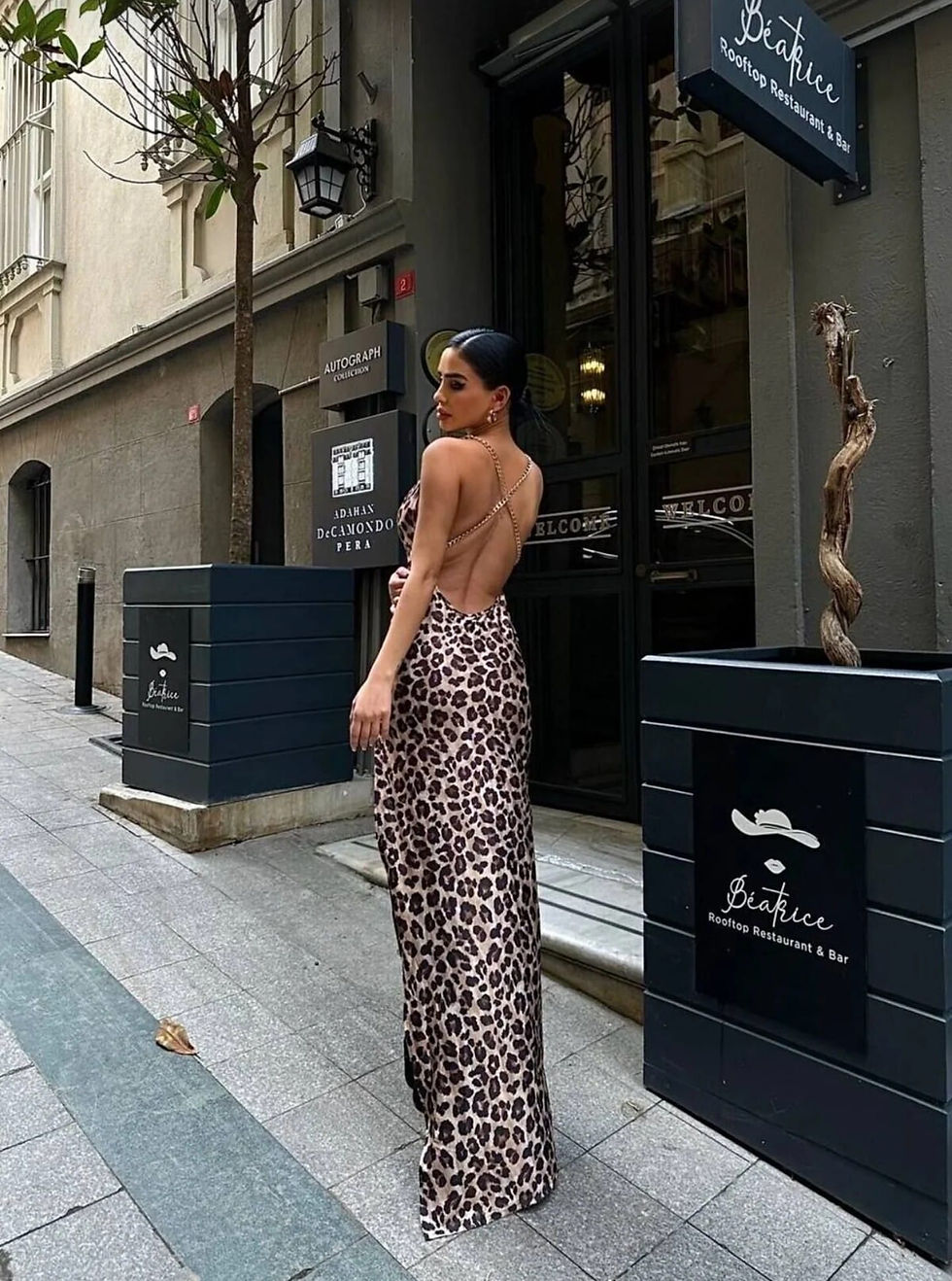Küçük resim: Leoparlı Şık Elbise