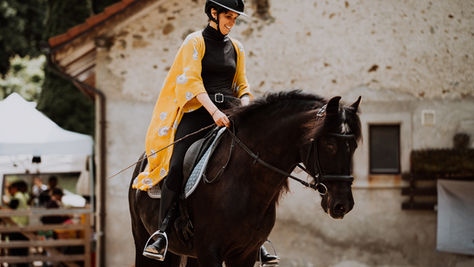 Le dialogue avec le cheval