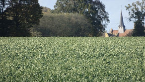          7 Novembre - PIFFONDS