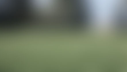          7 Novembre - PIFFONDS