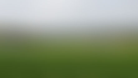 14 Octobre - FONTAINEBLEAU