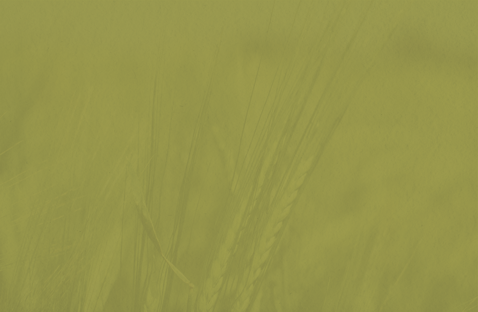 background_O que fazemos-24.png