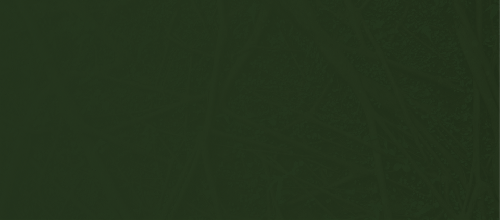 background_O que fazemos-01.png