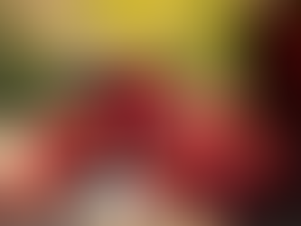 Descubra os Melhores Vinhos Importados Disponíveis para Compra