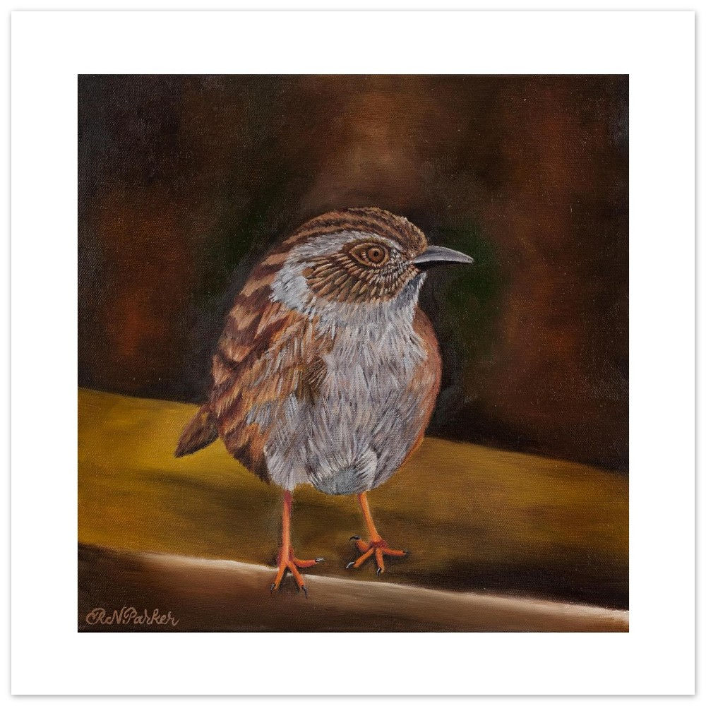 Dunnock - Fine Art Poster