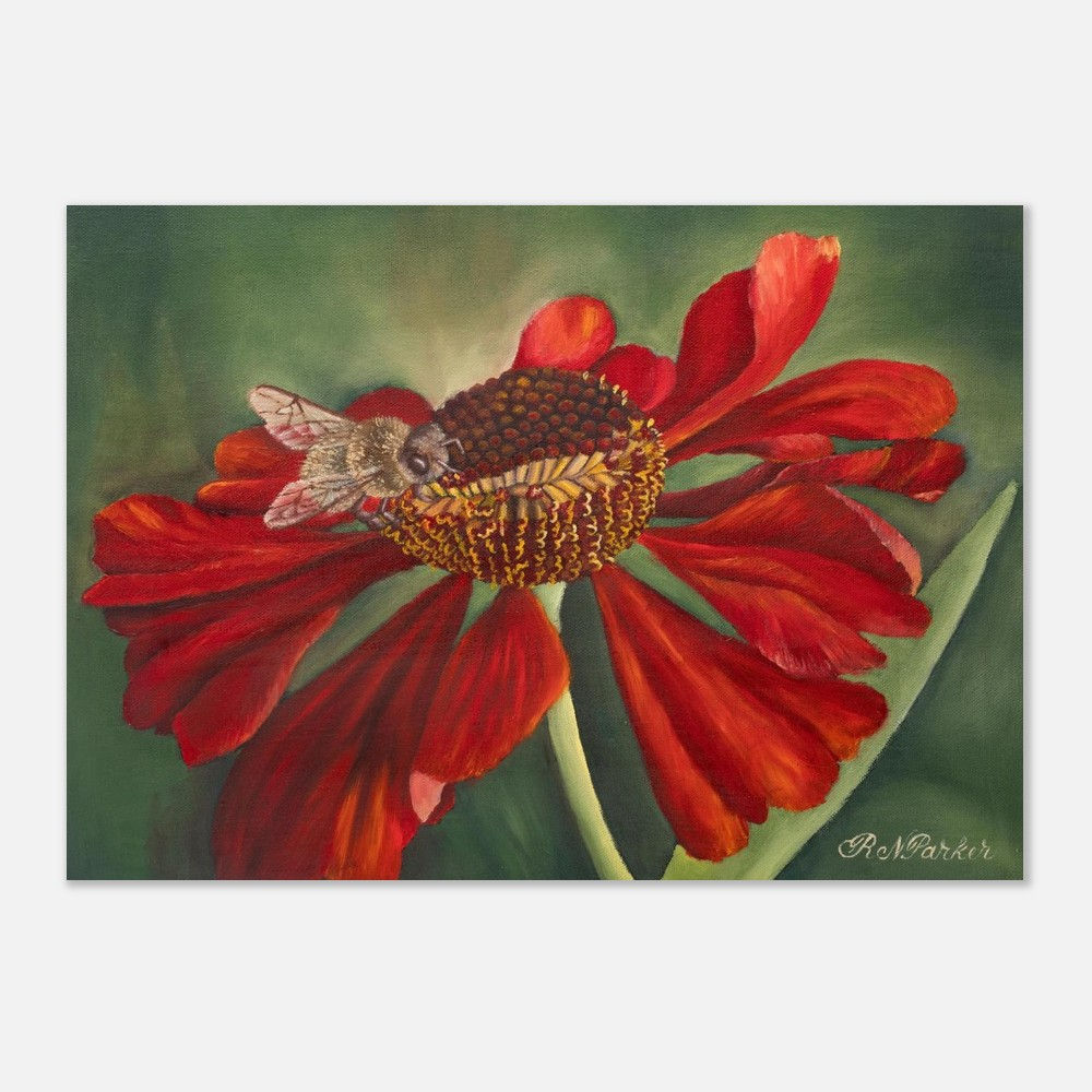 Bee on Helenium - Fine Art Poster