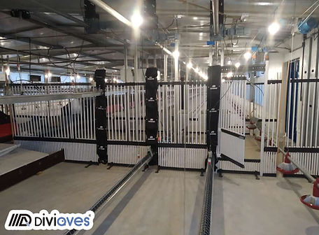 Divisória para sistema de produção de ovos