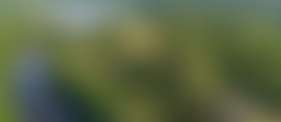 Do You Really Need Real Estate Drone Photography for Every Listing?