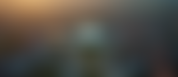 Elevate Your Shots with Local Drone Photography