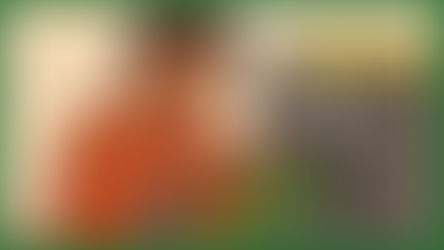 The Benefits of Color-Coded Labeling for Organization