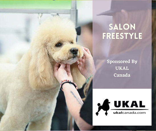 salon freestyle (3).png