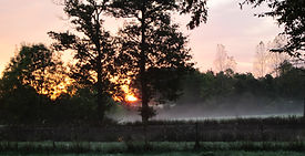 sunrise etang.JPG