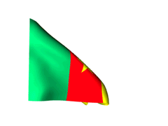 Drapeau-Cameroun_240-gif.gif