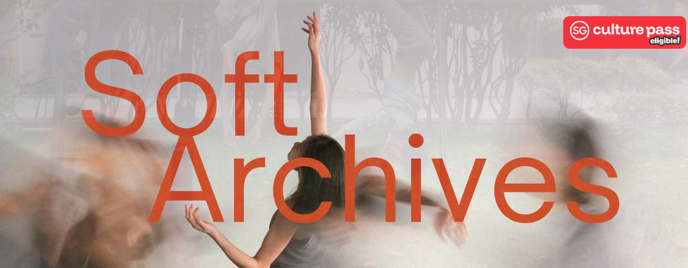 Soft Archives WIX banner.png