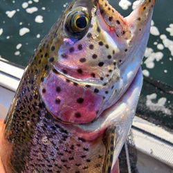 503999950_18517647283006667_8088293503600849370_n