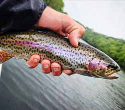 506530380_10234607664040262_5035718830348827237_n