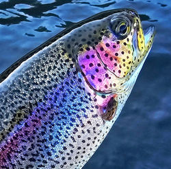 448679978_10230439318634232_5523830823008616658_n