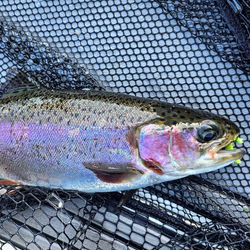 530246300_18526369207006667_6592809971651946577_n