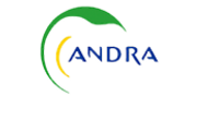 Andra