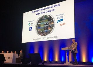 Dawbuts Winter Newsletter 2017