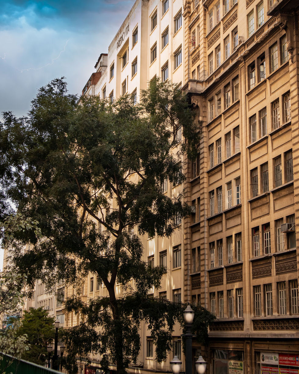 São Paulo - Arquitetura seculo XX