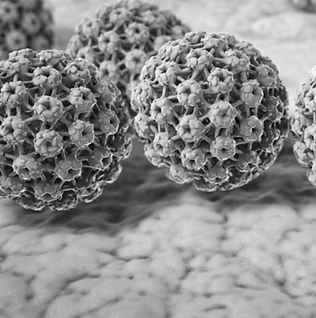 Fotos landing_Esthela-39.png